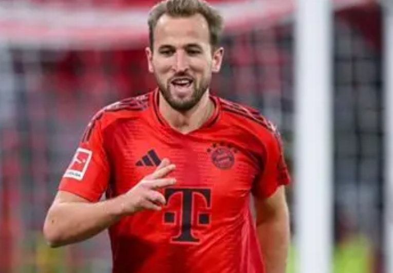 凯恩谈德语学习：孩子进度领先，自身努力追赶